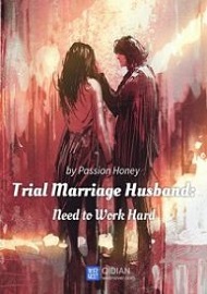 Trial-Marriage-Husband-Need-to-Work-Hard