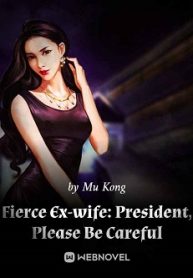 Fierce Ex-wife President, Please Be Careful